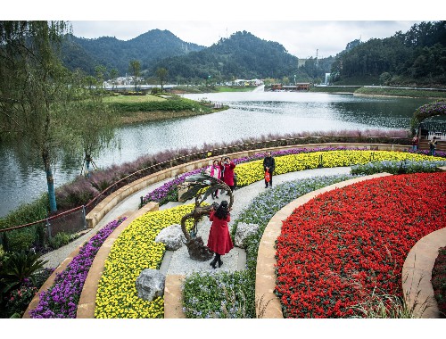 博鱼boyu：六安城市绿化带种植什么植物比较好