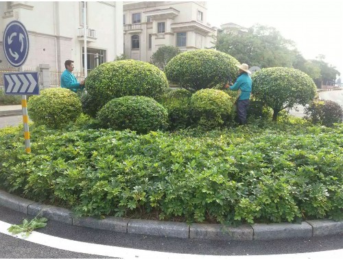 boyu博鱼中国官方网站：华蓥市政绿化工程招标资质要求